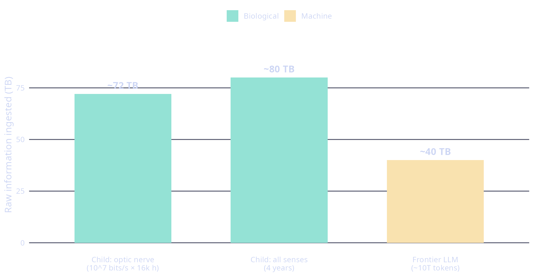 Catppuccin Mocha bar chart: a four-year-old's optic-nerve (~72 TB) and all-senses (~80 TB) intake next to a frontier LLM's ~40 TB training corpus. The bars sit at the same order of magnitude.